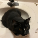 The bonding hub 🔥 Discord server icon