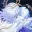 ˢʰᵒᵖ 2/angels ︶ dj2l 𓏵