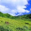 何かしら勉強する会