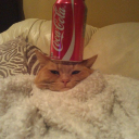 carbonated Discord server icon