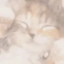 DREAMY GIF
