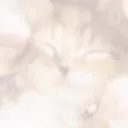 DREAMY GIF discord icon