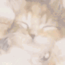 DREAMY GIF