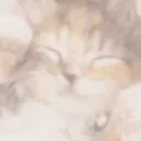 DREAMY GIF discord icon