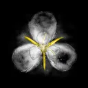 Mariposa Lily Organization