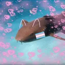 The Shark Tank