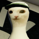 】﹒︵   e    𝐓𝐇𝐄 𝐄𝐋𝐄𝐕𝐀𝐓𝐎𝐑   ﹕