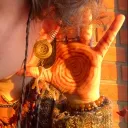 🍃•treehuggers•💫☮