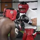 USA SPARRING