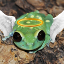 Green Frog Heaven Discord server icon