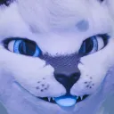 Snowfox Renders