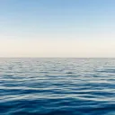 [New] Horizon Scripts