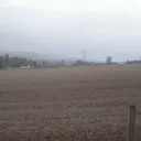 Wheat Field SMP