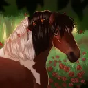 𝚜𝚠𝚎𝚎𝚝 𝚜𝚝𝚛𝚊𝚠𝚋𝚜 𝚘𝚜🍓ೀ