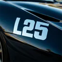 L25
