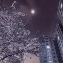 Snowy Hub