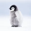 Planet Penguins OS!