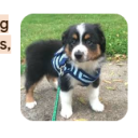 unknown&amp;#039;s tiktok Server Icon