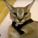 Hecking school   |   Chill  .  Community  .  Giveaways  .  Fun Discord server icon