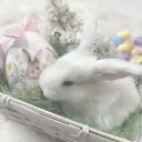.🐰 🐇 ݁ ˖╭ ┆Lav's Easter Basket 🧺