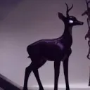 Doe’s Server (18+)