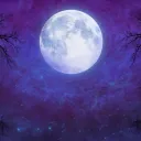 Noctyra