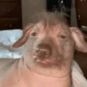 waw
