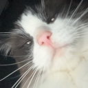 HIDEOUT!! Discord server icon