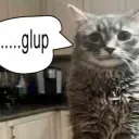 Glup