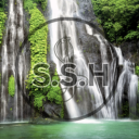 Snakes' Social Hangouts Discord server icon