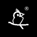 DOVE™ Audio