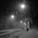 Snowy Paradise