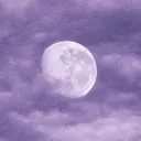 𝙾𝚂︶꒦꒷𝙒𝙤𝙣𝙙𝙚𝙧𝙛𝙪𝙡 𝑫𝒓𝒆𝒔𝒔𝒂𝒈𝒆꒷꒦︶