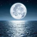 MoonLight shop