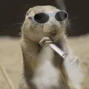 Squirrel Wif Cig