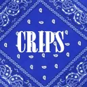 Rollin' 90s Neighborhood Crips | WISE FA