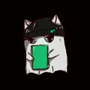 howsscat
