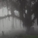 @ᴏᴜsʜᴇɴ ✗ sᴏʀᴍᴀᴛɪᴋ ᴍᴏᴅs