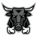 BULLS