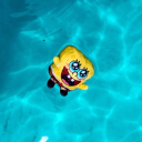 Twinkles sigma server!!ദ്ദി -᷅ ·̫ -᷄ )✧!!! Discord server icon