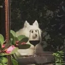 てきとーさば