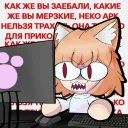 Тайный клуб любителей макарон