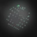 Kaalateral