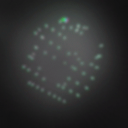 Discovery icon for Kaalateral Discord server