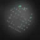 Kaalateral