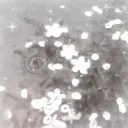 /evermore collabs
