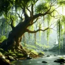 willow