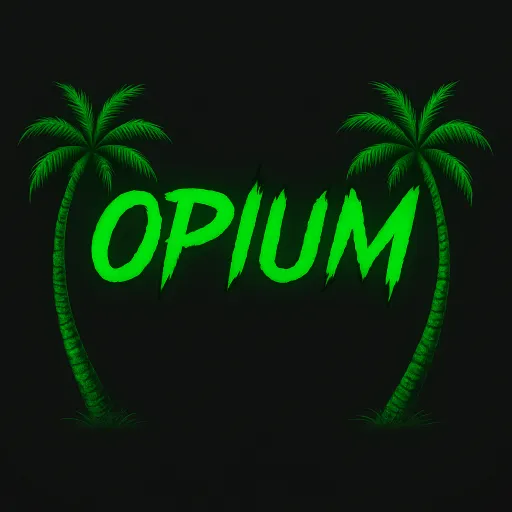 OPIUM | PUBLIC #COMEBACK 2025 — мониторинг Discord сервера, статистика и рейтинг