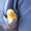 velvet raincheck Discord server icon