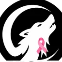 NIGHTWOLVES ESPORT